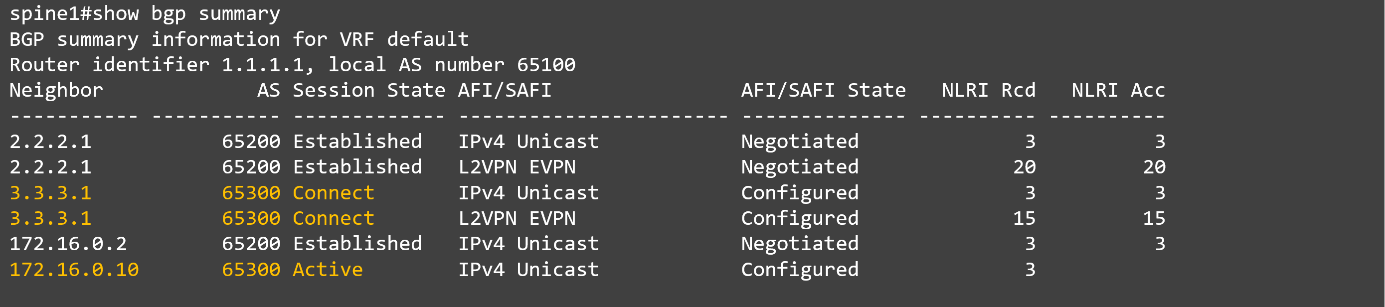 10_show bgp summary_spine#1.png