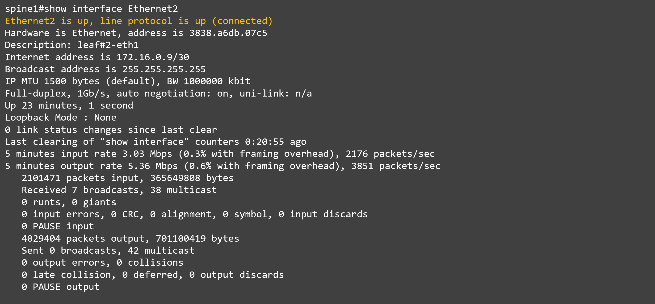 12_show int counter_spine#1.png