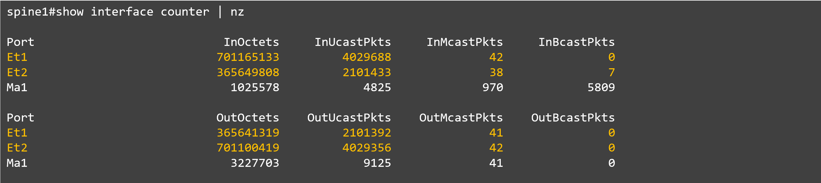 13_show int counter_spine#1.png