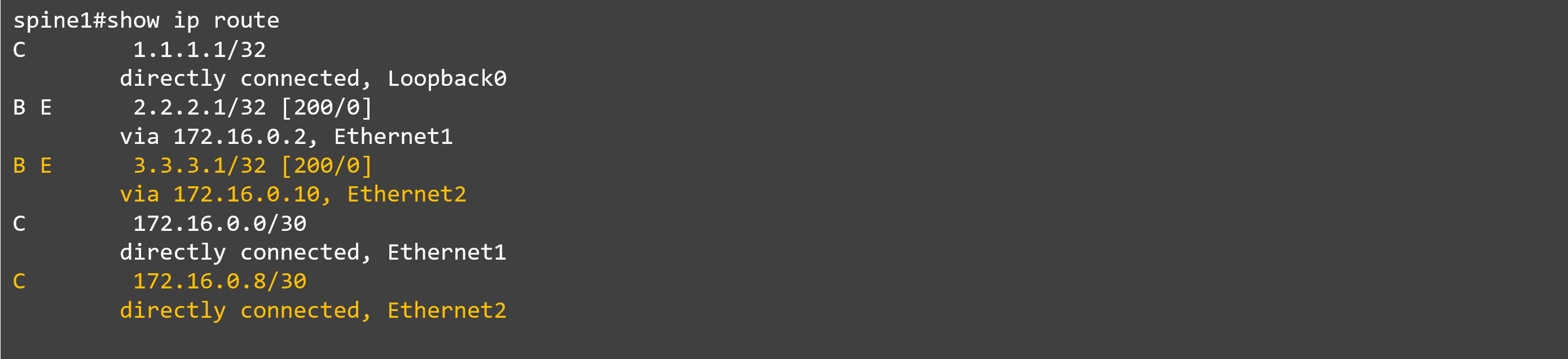 14_show ip route_spine#1.png