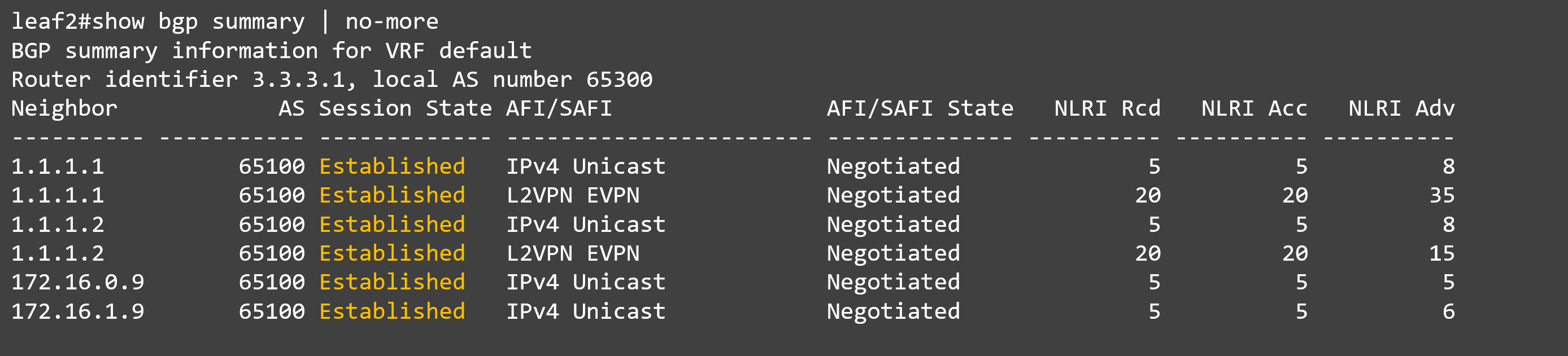 17_show bgp summary_leaf#2.png