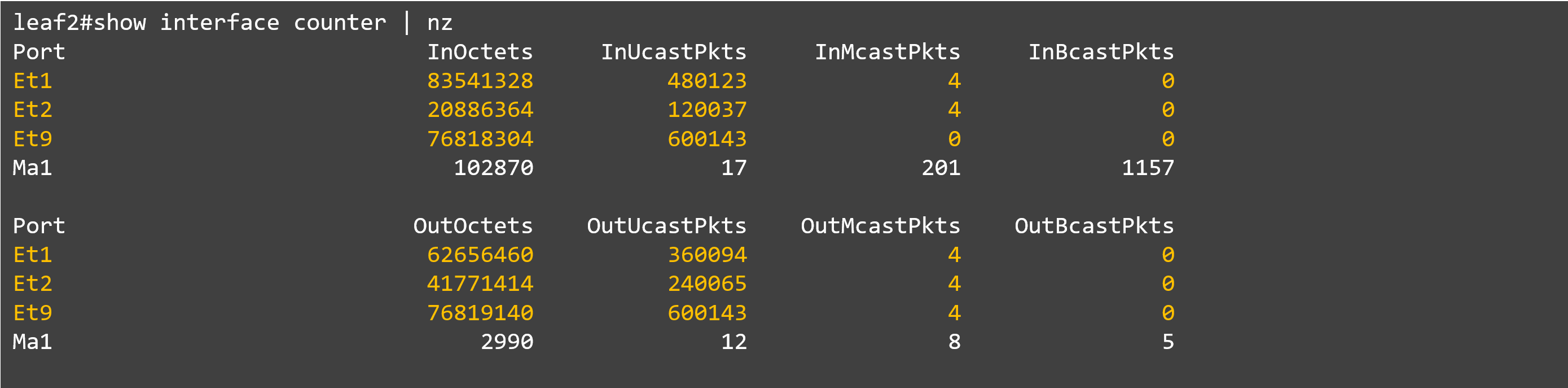 18_show int counter_leaf#2.png