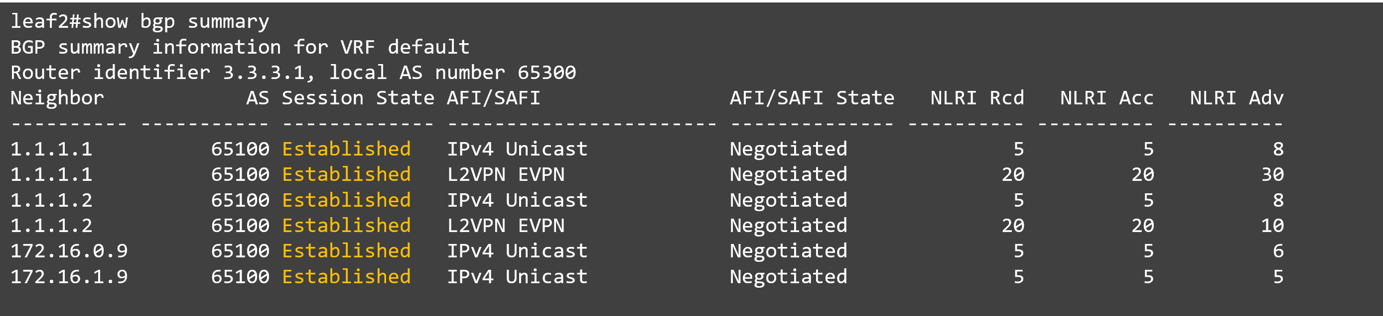 2_show bgp summary_leaf#2.png