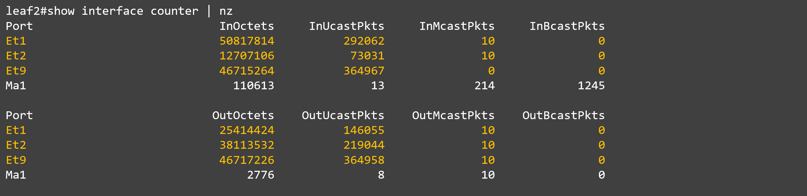 3_show int counter_leaf#2.png