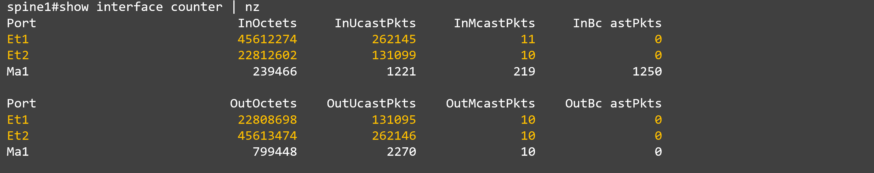 4_show int counter_spine#1.png