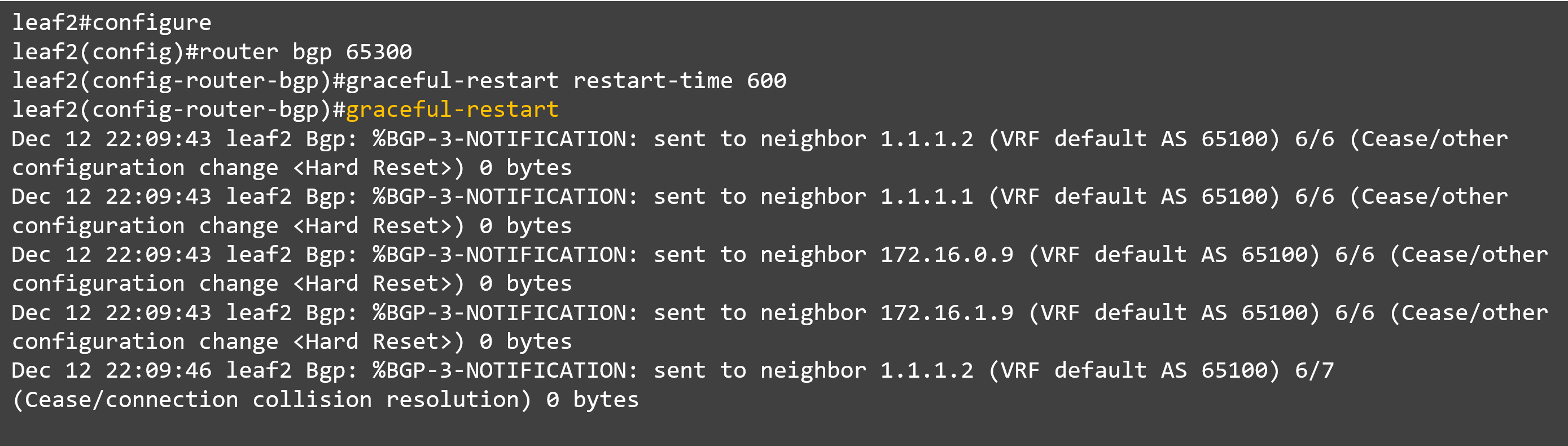 6_router bgp 65300_leaf#2.png
