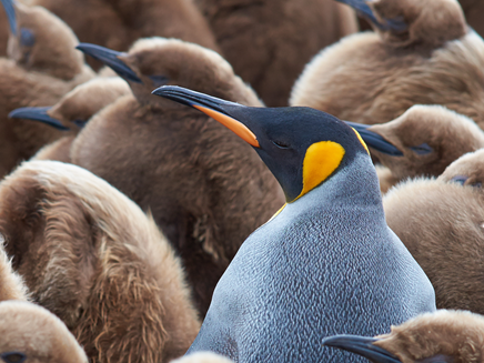 Nutanixで進める野良サーバー撲滅のすゝめ ーNutanixの拠点向けソリューションー