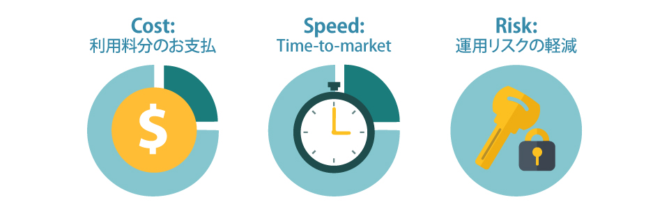 Cost Speed Risk